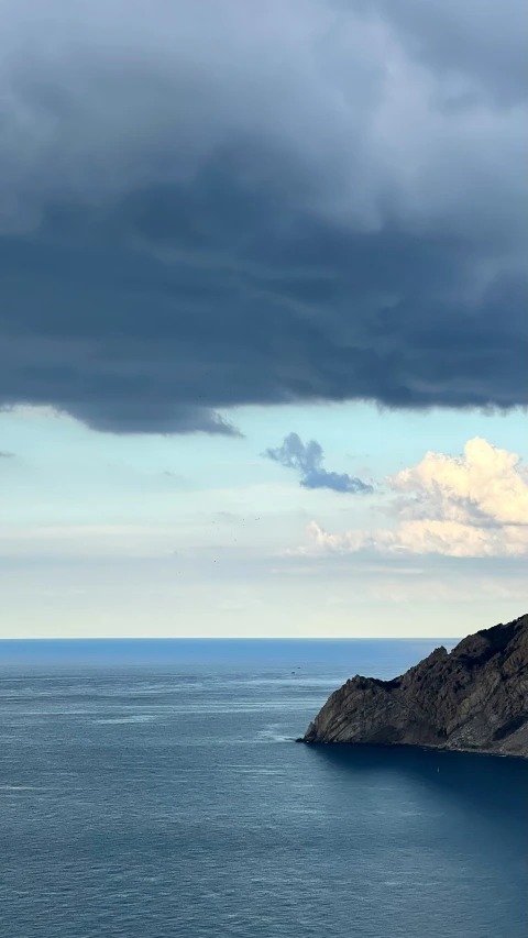 a bird sitting on the edge of a cliff near an ocean