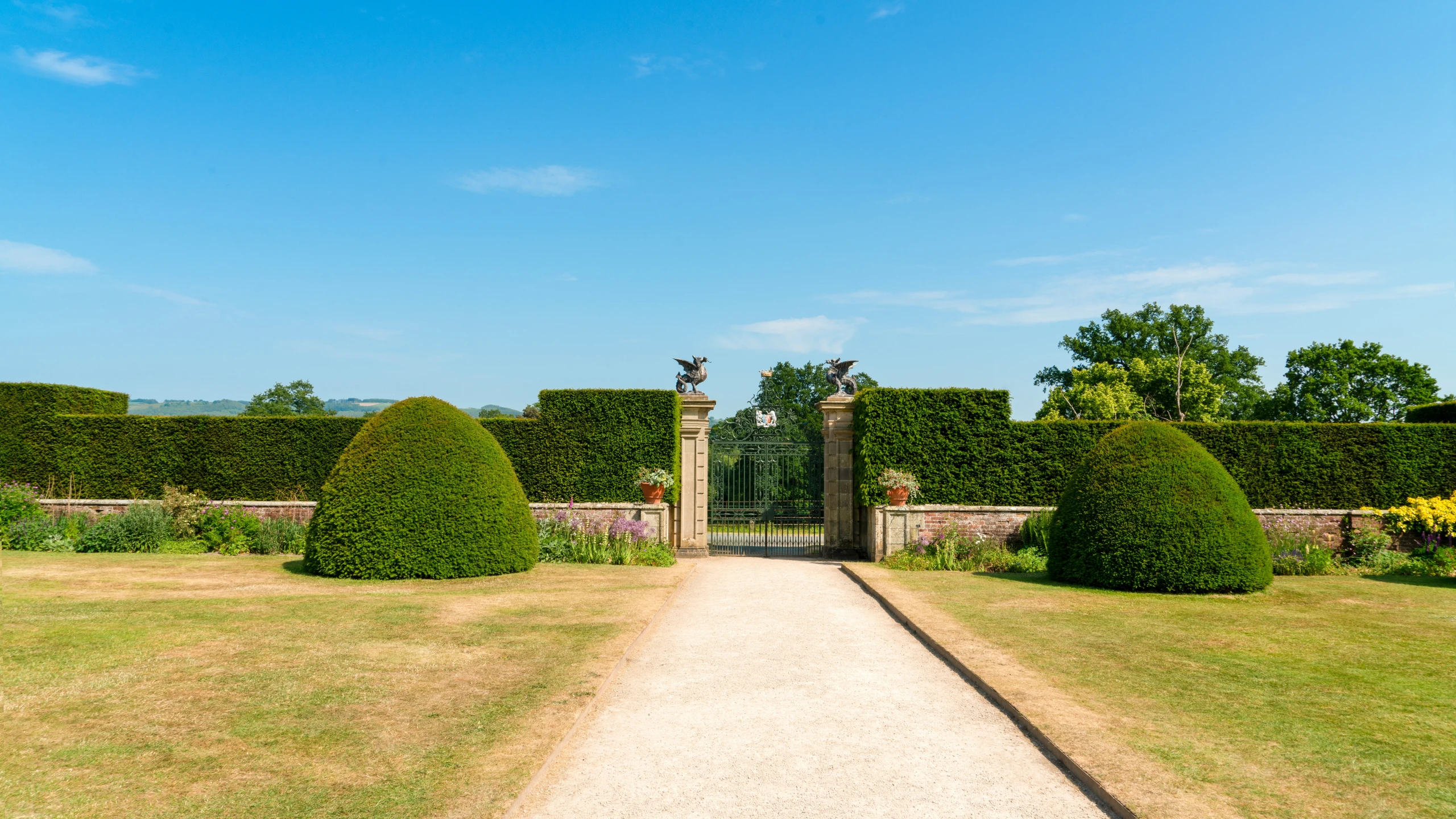 a path is between two garden shrubs