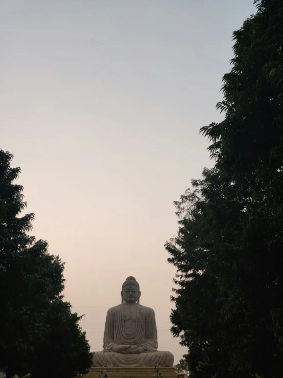 a large buddha statue is seen from the side