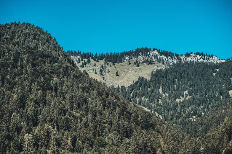 a small mountain with trees on top and a cloudless sky above