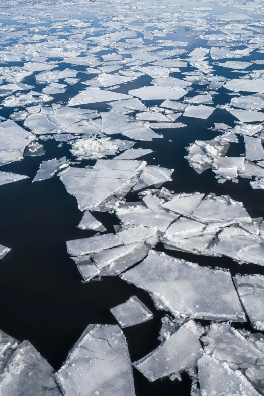 a large group of ice floes floating through the water