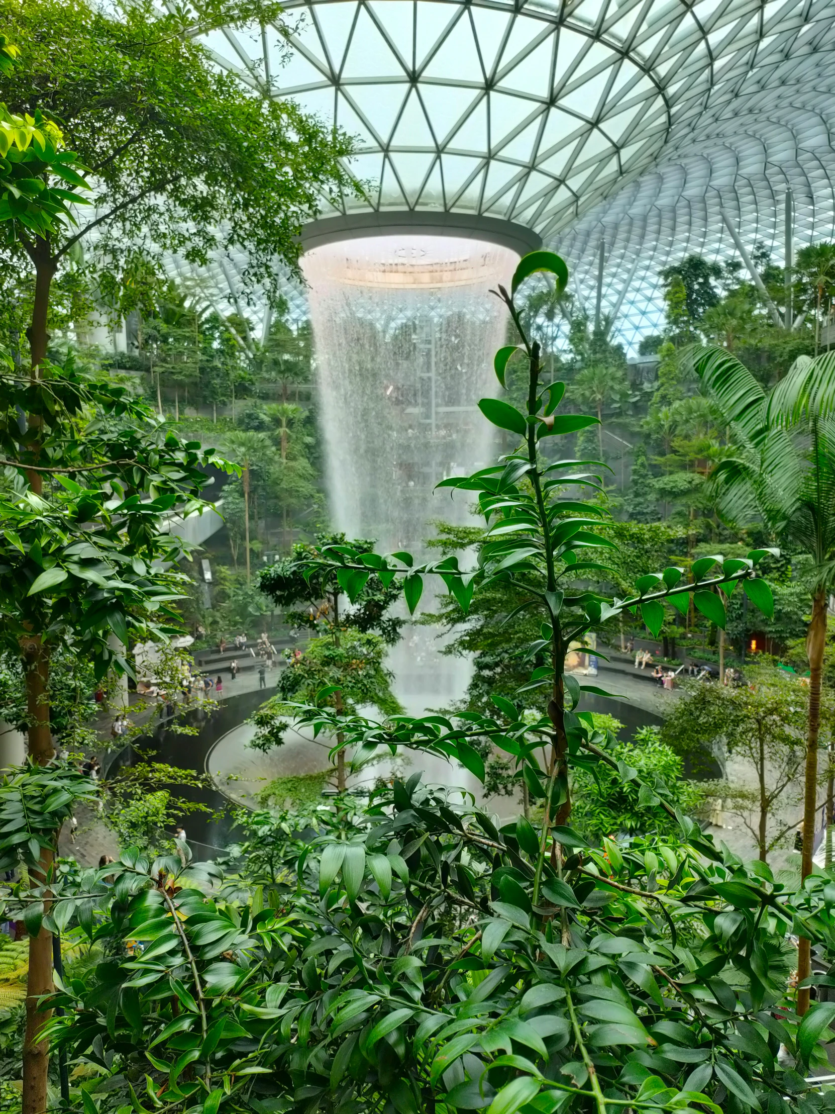 inside a tree filled forest with water falling off the ceiling