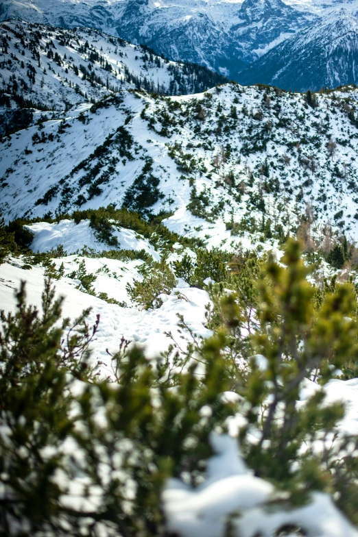 a man riding skis on a snow covered slope