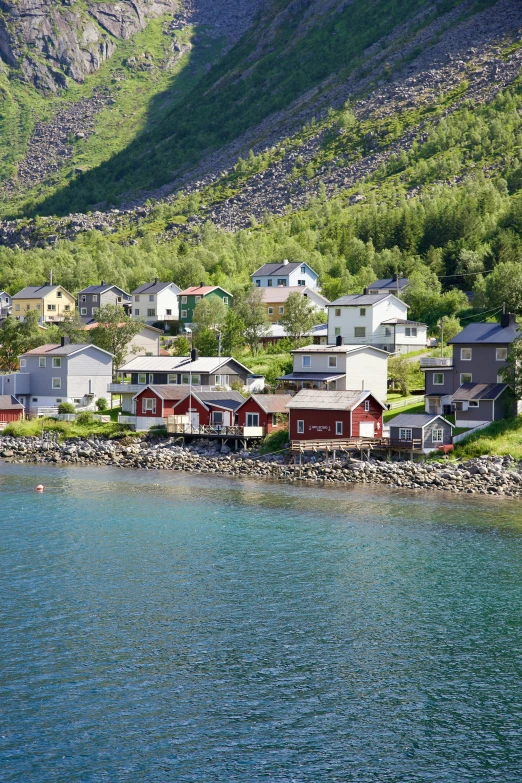 several houses are on a small town that sits on the coast