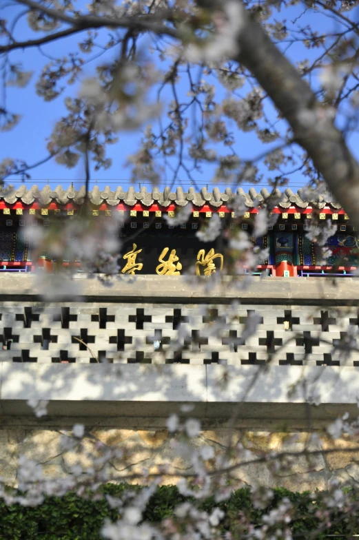 chinese architecture and trees with clear nches