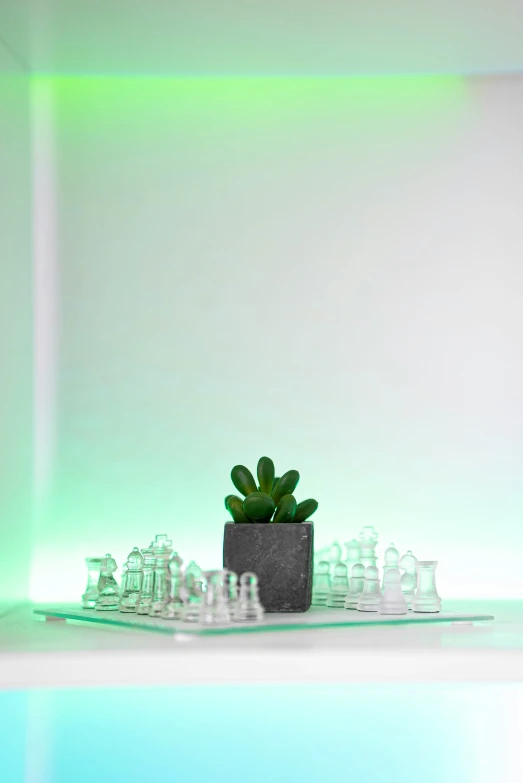 a table with glass chess pieces and a cactus