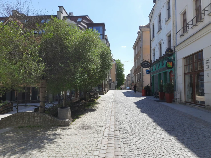 a street is lined with large, leafy trees and buildings