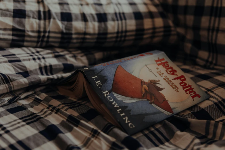 book resting on a pillow on a plaid covered bed