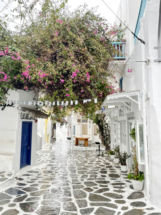 a white building with windows and trees above a narrow street