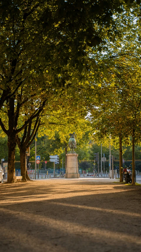 the view of trees and bench area, with man sitting alone in the middle