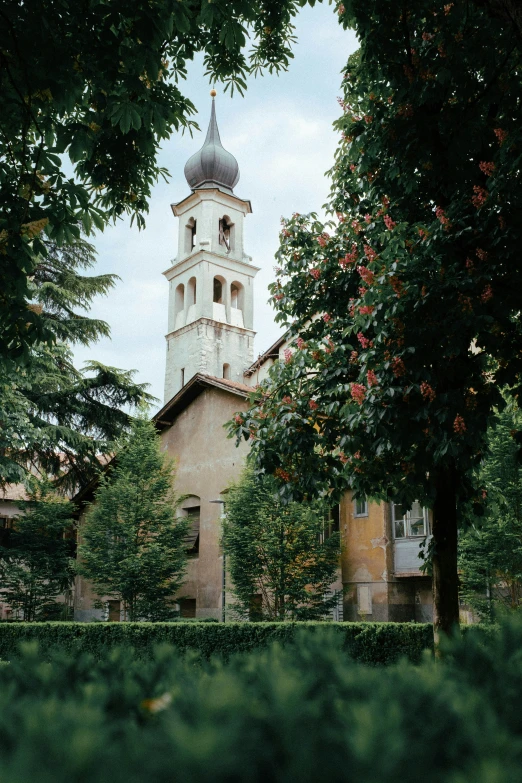 an old clock tower with spire sits behind trees