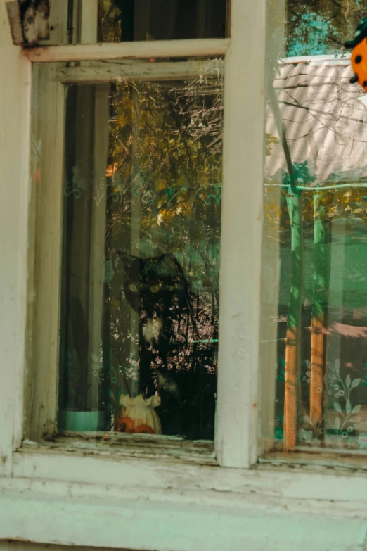 a black and white dog sitting at an open window