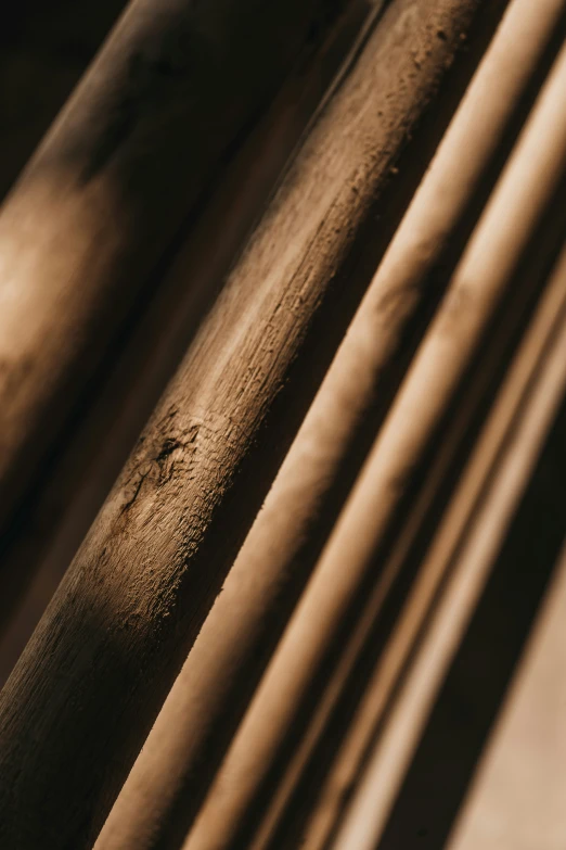 a close - up of a set of baseball bats