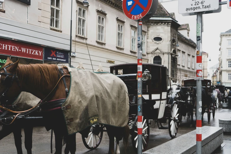 a horse is tied up to a pole near a city street