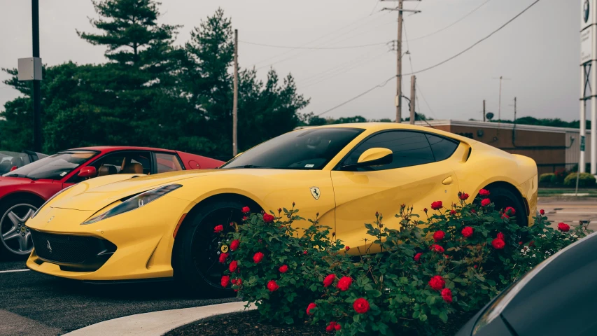 the car is parked next to some red roses