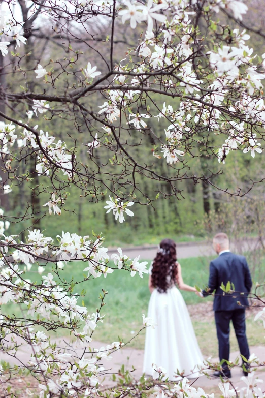 the bride and groom are walking near blossomy tree