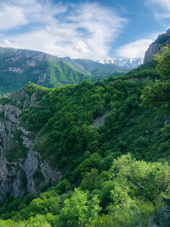 a scenic valley sits beneath some forested mountains