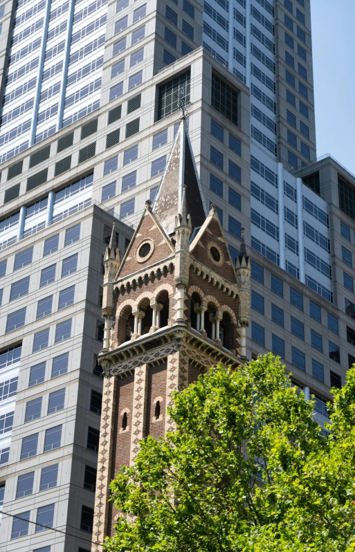 an ornate building with tall windows stands next to a tree