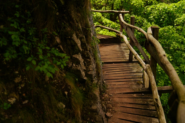 a wooden walkway made from tree nches crossing between trees