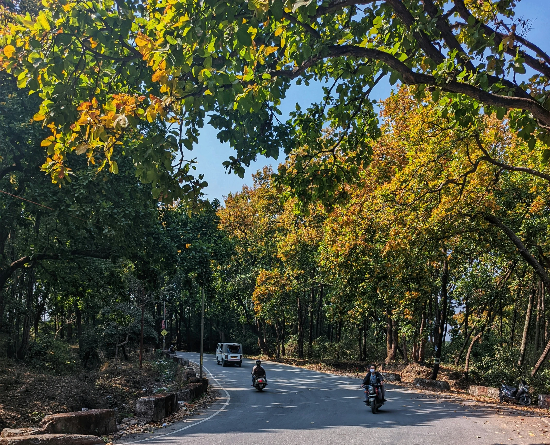 the two motorcycles are going down the hill near the trees