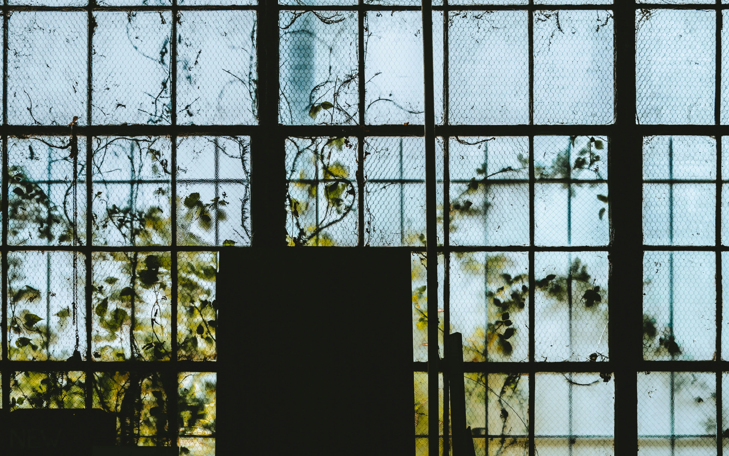 a dark room with a glass window with multiple plants growing outside