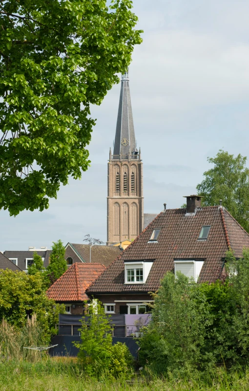 a group of buildings and trees with a tower