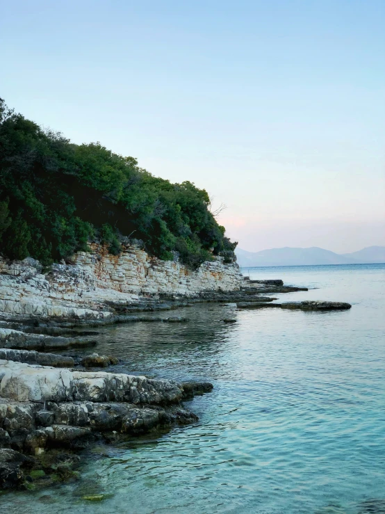 a beach area with water, trees, and rocky shoreline