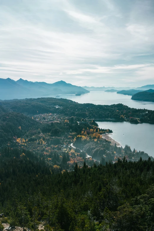 a view of a city and water with trees on it