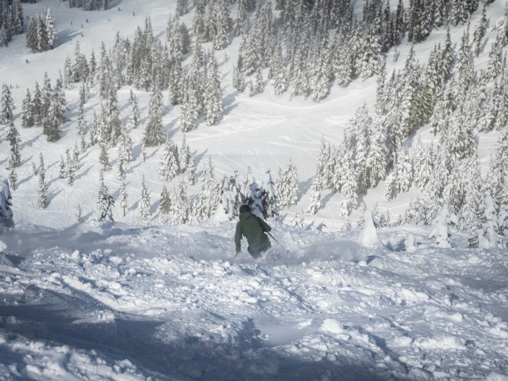 snowboarder skiing down hill near a tree lined forest