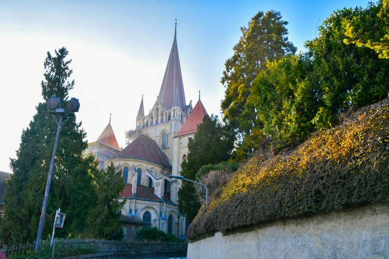 a church sits behind a row of trees on a street