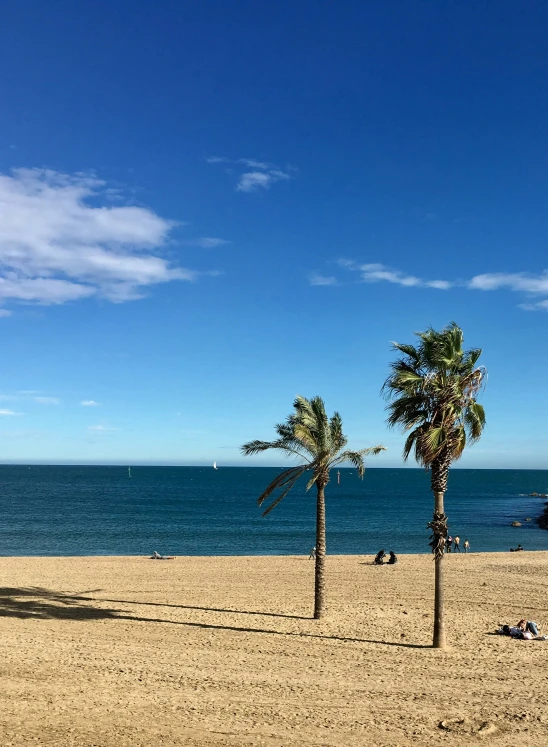 two palm trees are standing next to some people in the sand