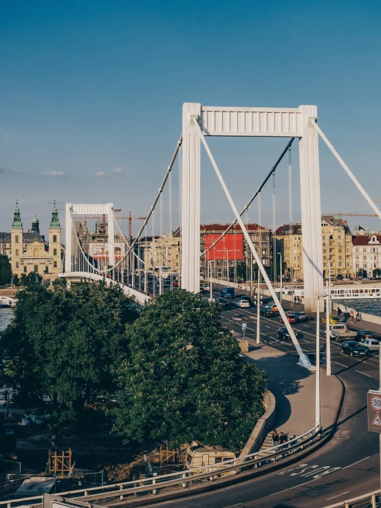 the pedestrian bridge crosses the river in the city