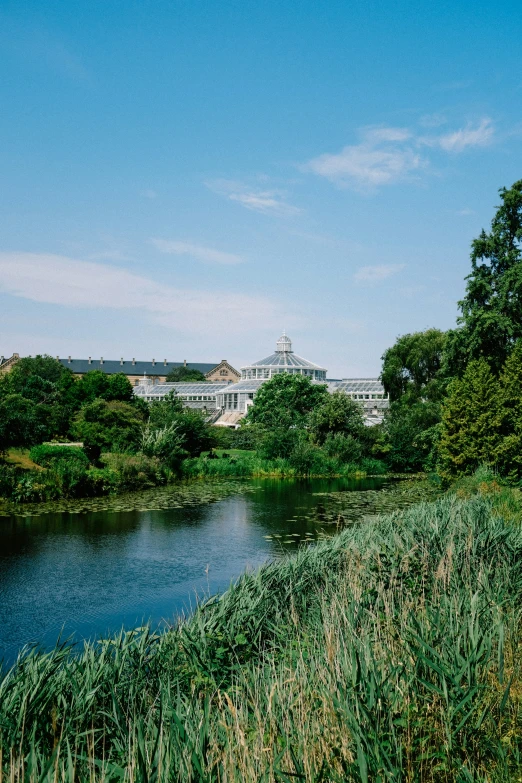 a view of some trees, water, and a building