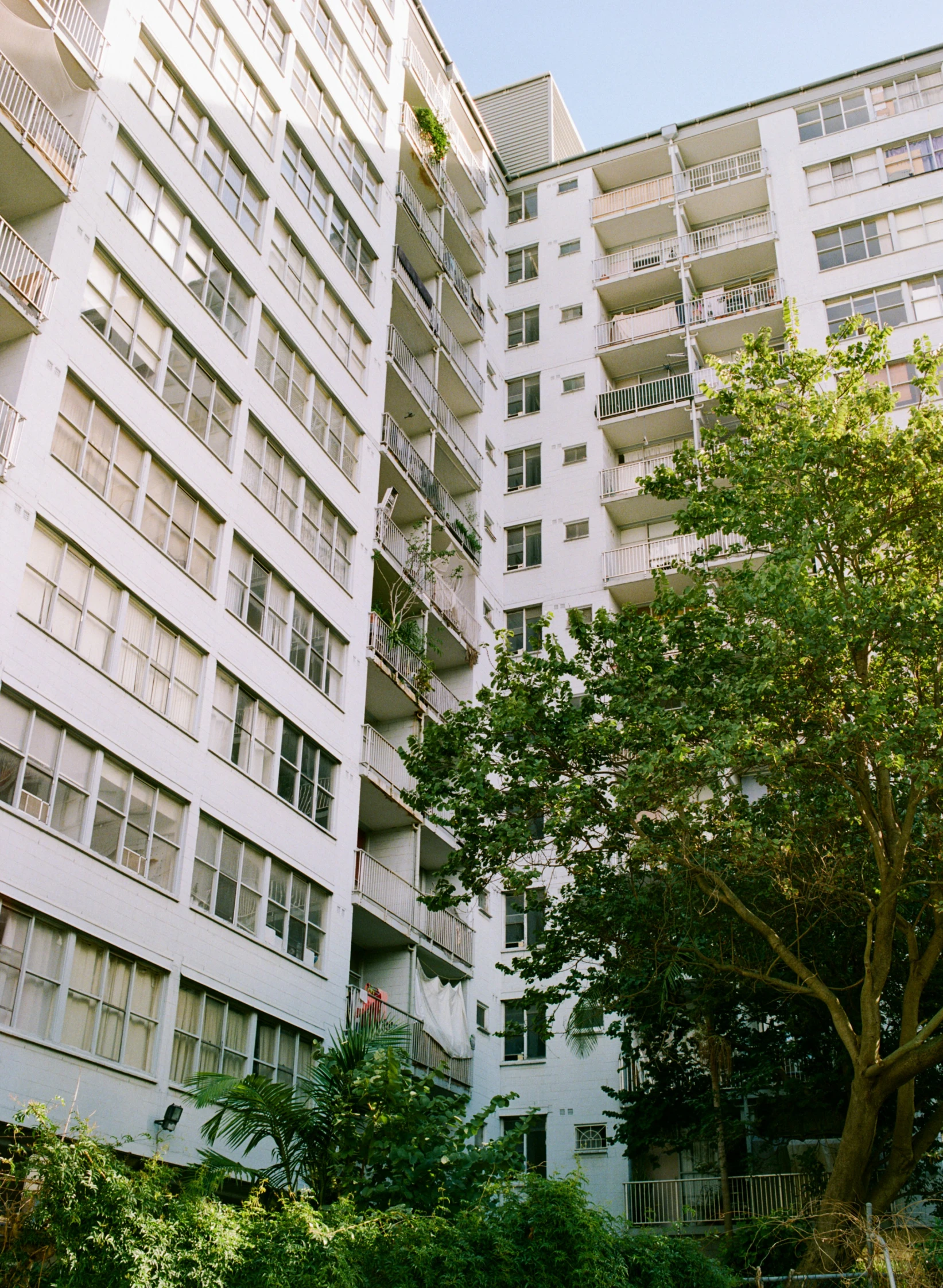 some buildings and trees on a sunny day