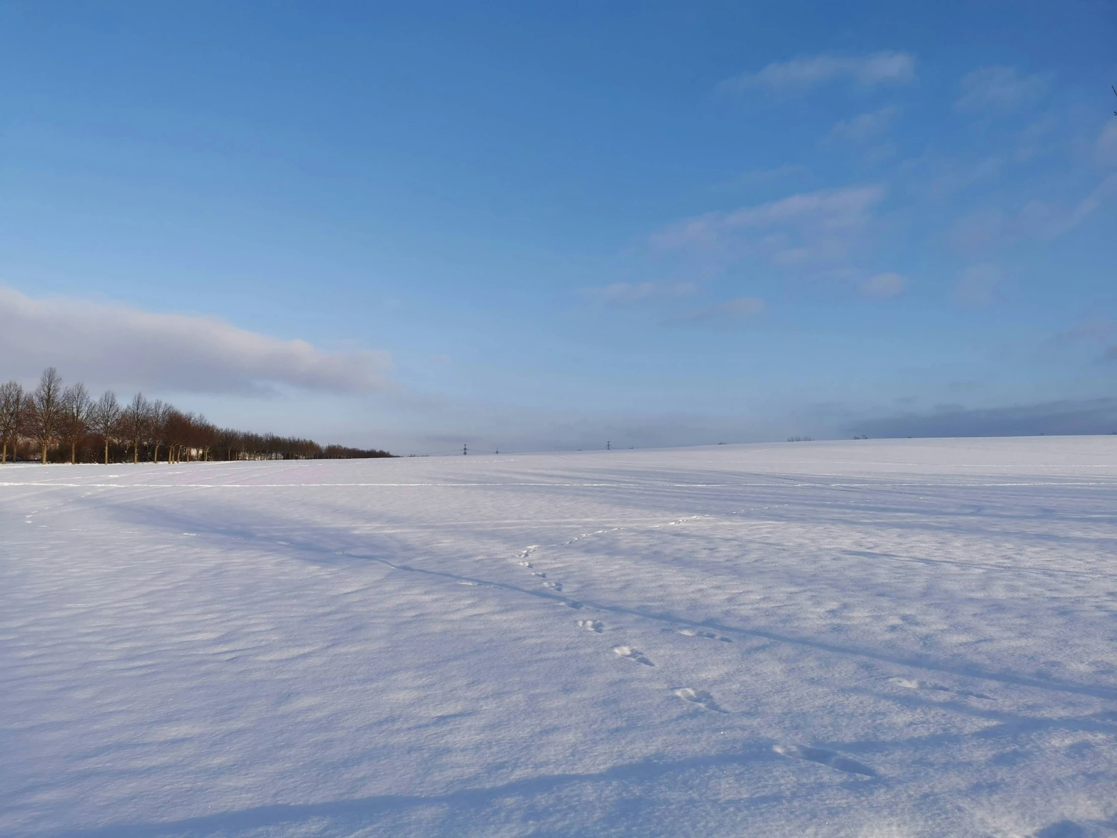 the view of a snowy field and a bench