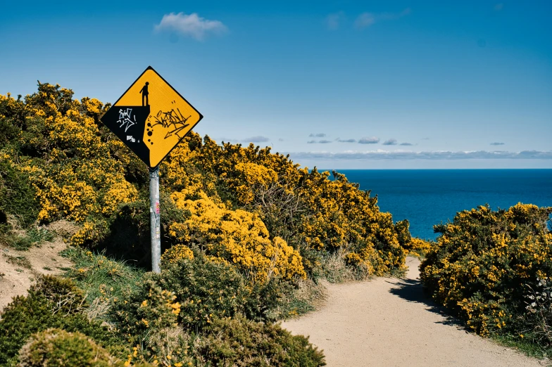 the yellow and black street sign is on the side of a mountain