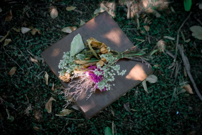 various leaves on the ground and on a piece of paper