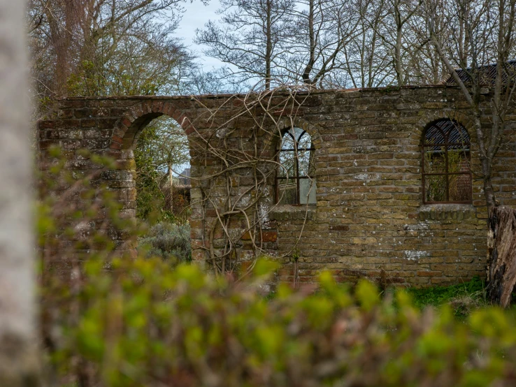 an old brick wall in the woods with trees surrounding