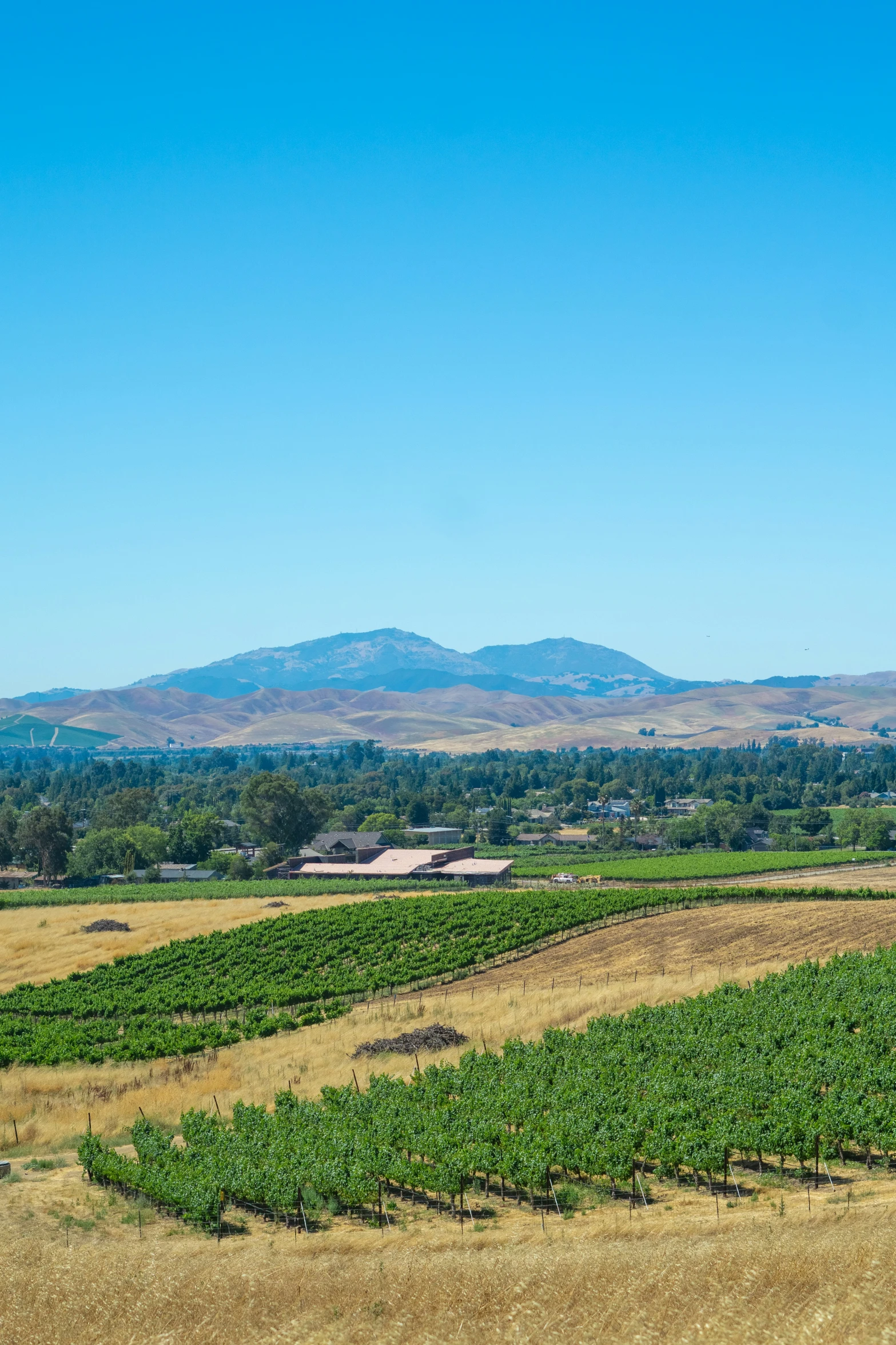 a green landscape in the country with mountains behind