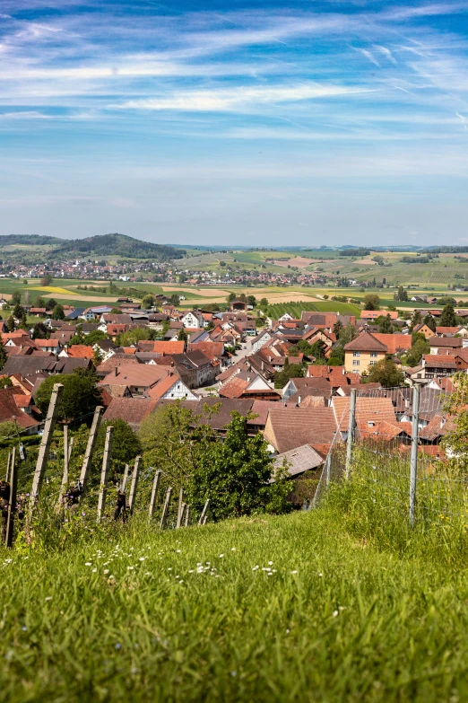 an area of green grass and buildings with red roofs