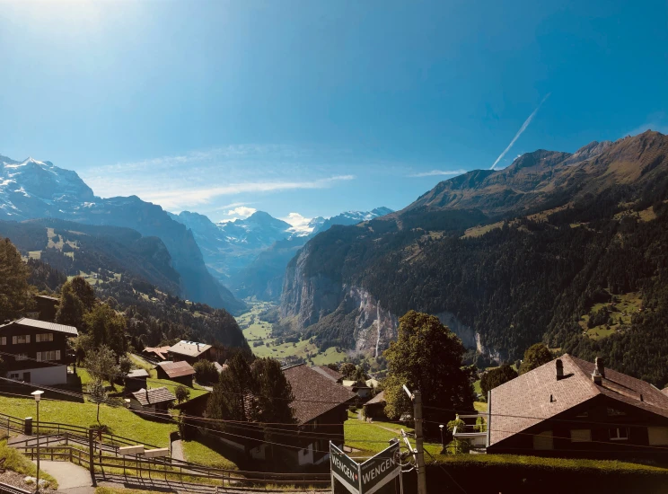 there is a lot of grass growing in the mountains