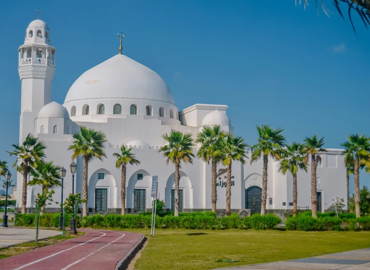 a white building with palm trees and a path