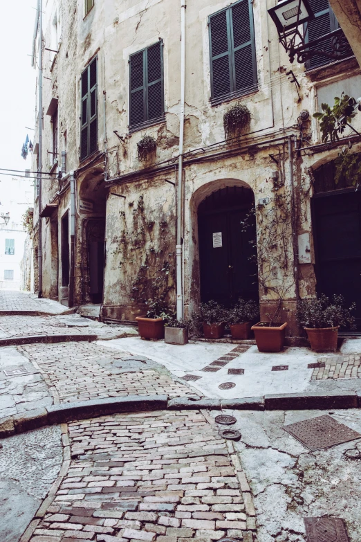 there are potted plants on either side of the doorway