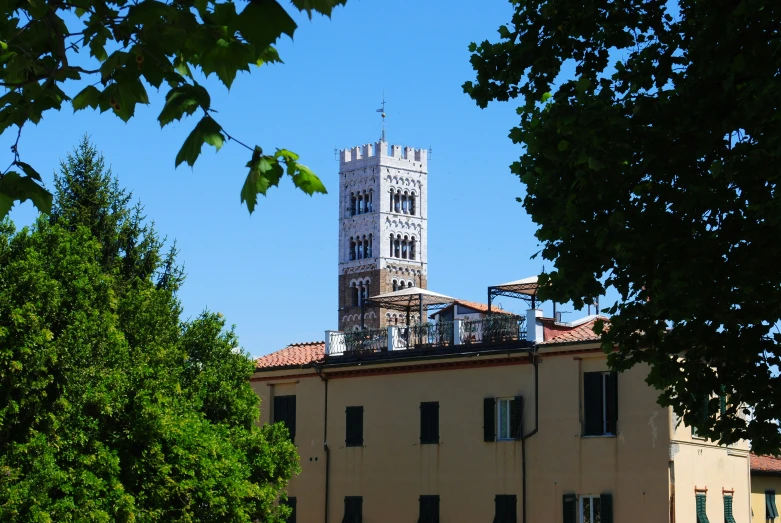 a tall building with a tree and a clock on top