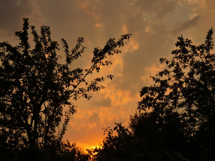 the sun is going down behind some trees