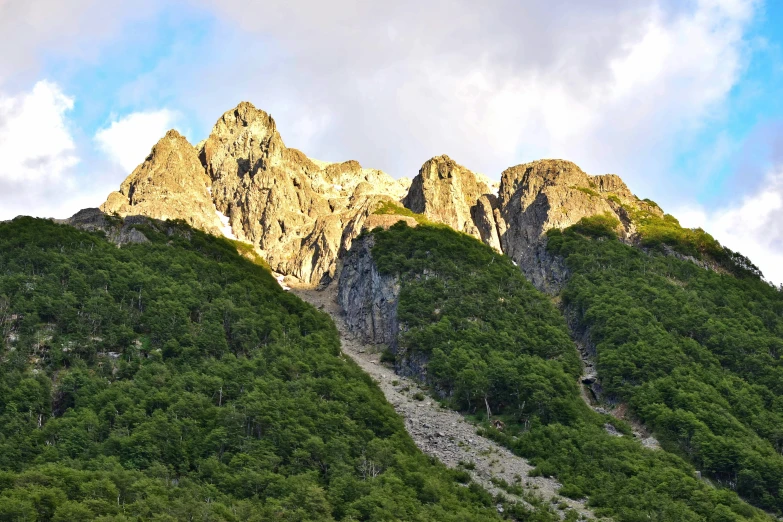 a lush green forest sitting next to a large mountainside