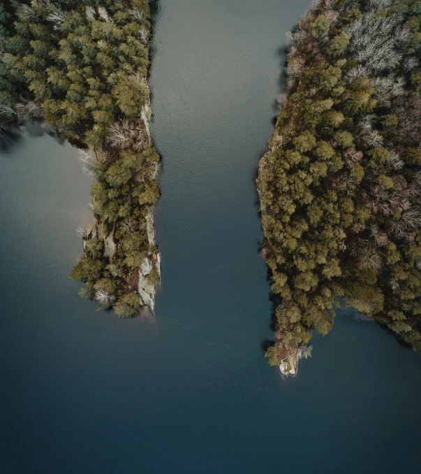 a view from a plane of a forest and a lake