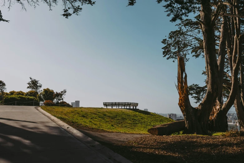 there is a park bench in between two large trees