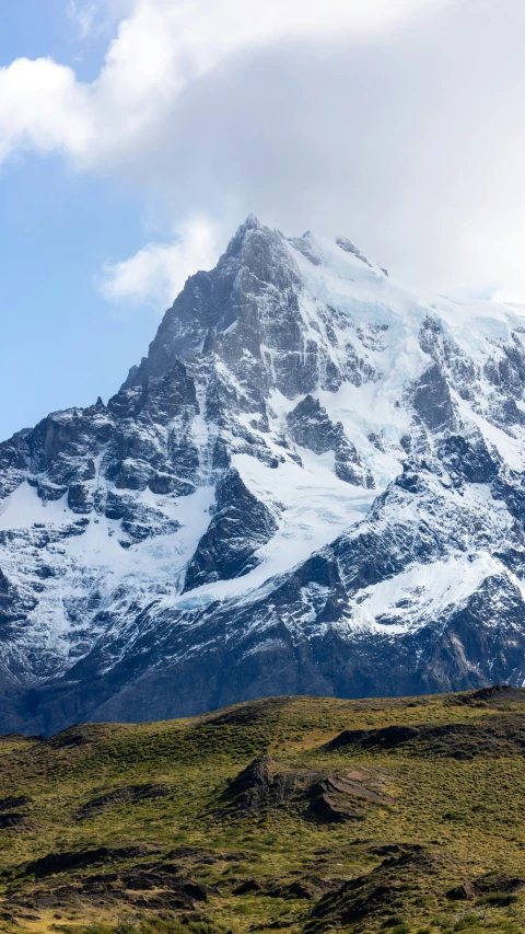 a horse is grazing on grass in front of a snowy mountain