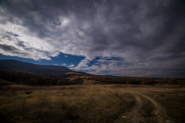 an open field with trees and clouds above